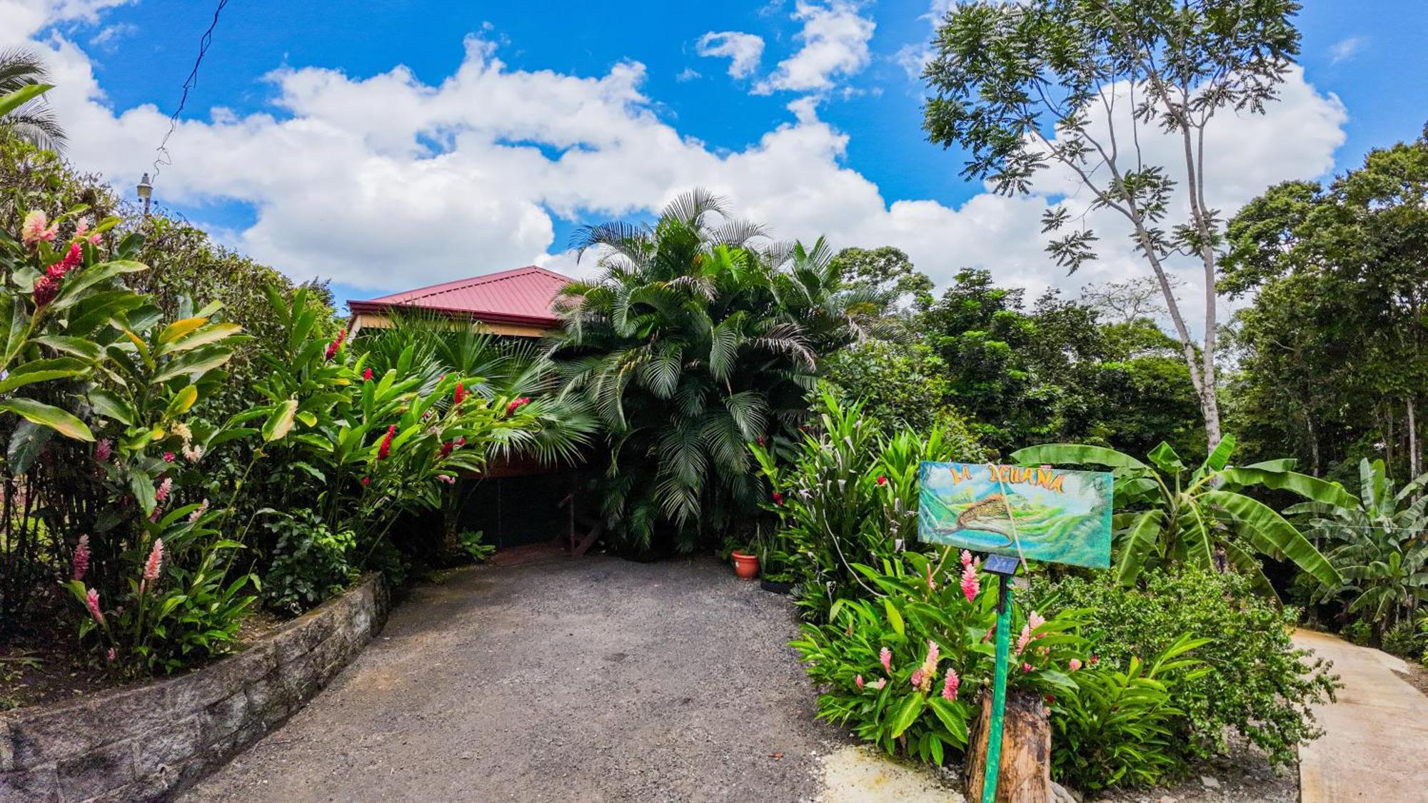 Bungalows Las Iguanas Arenal Volcano La Fortuna Exterior foto