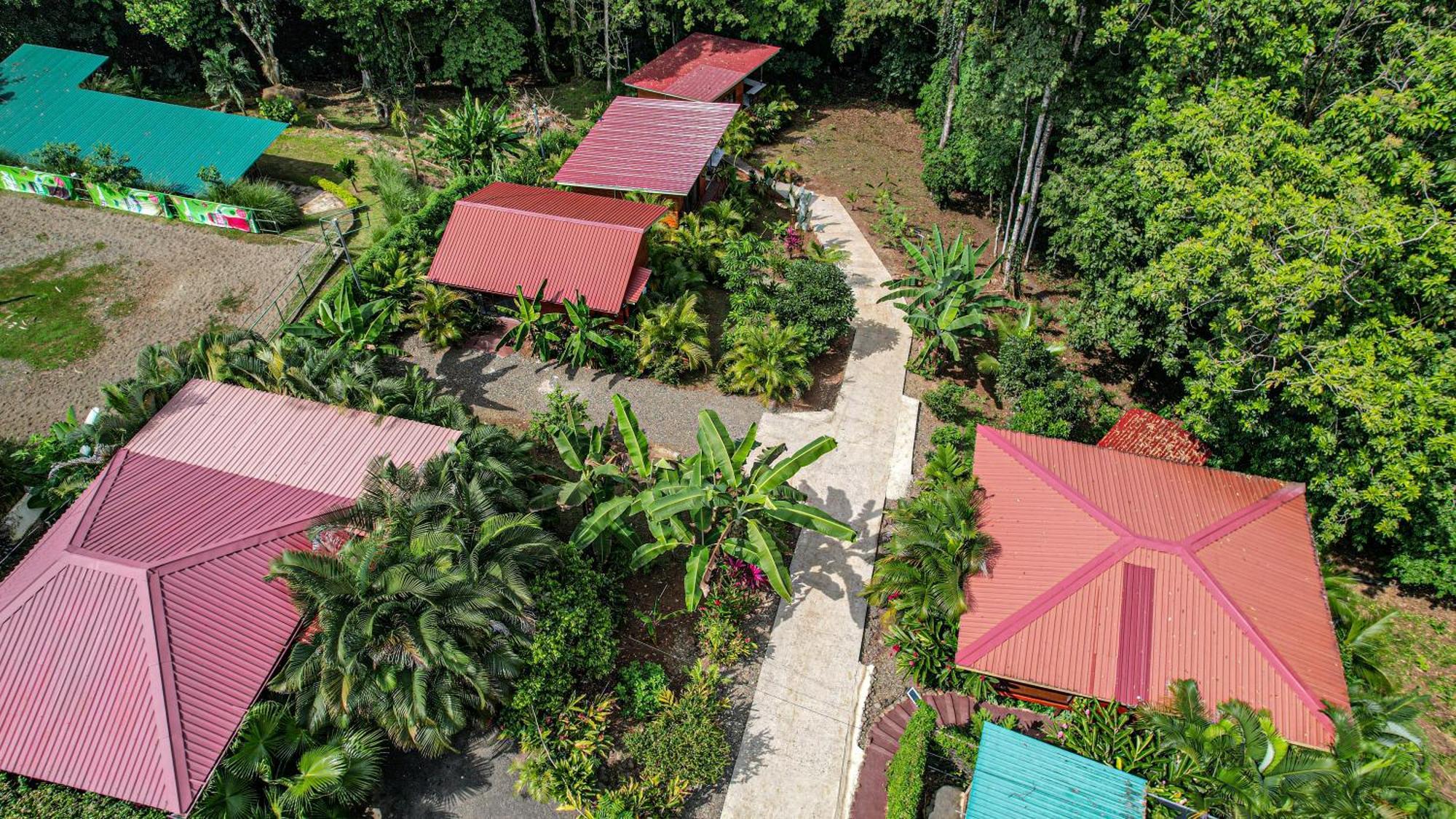 Bungalows Las Iguanas Arenal Volcano La Fortuna Exterior foto