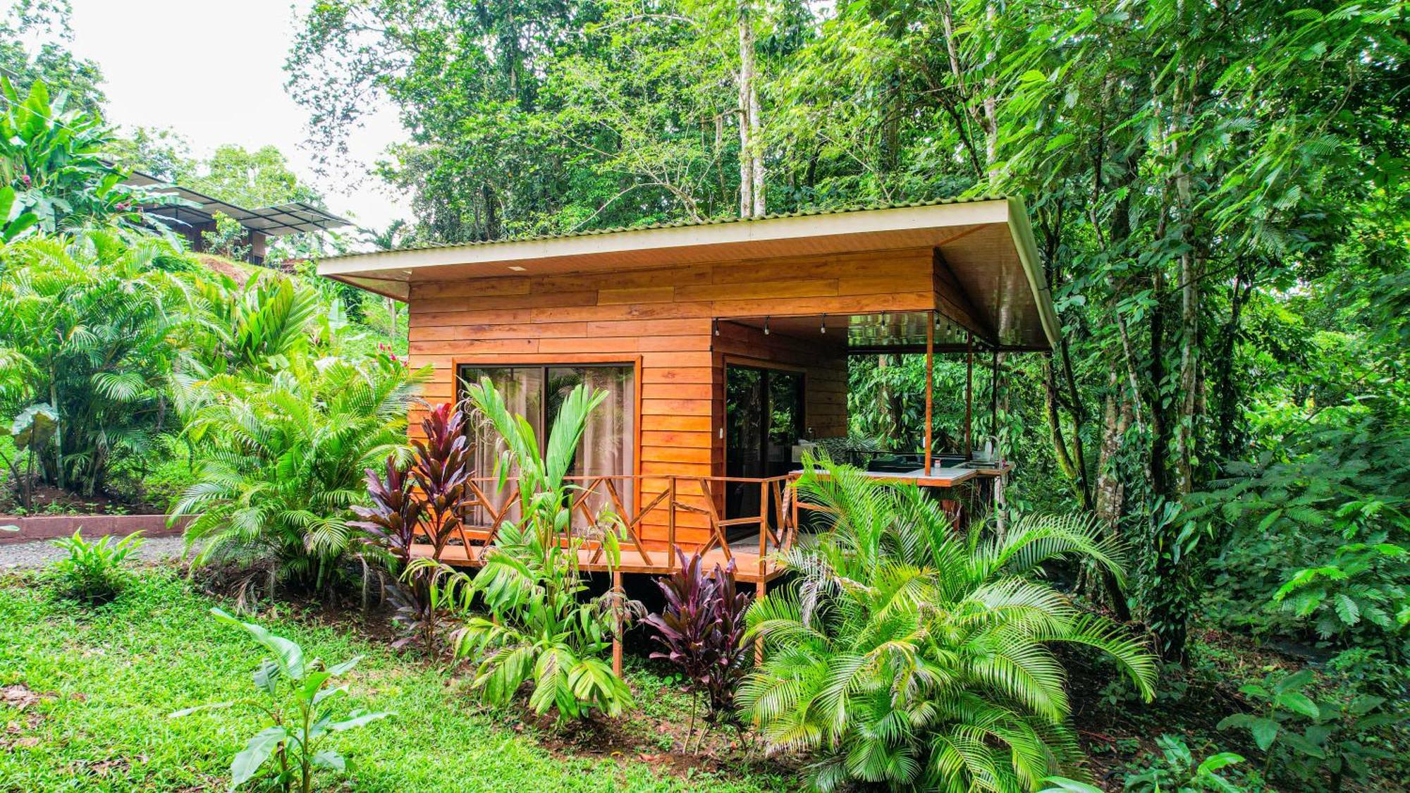 Bungalows Las Iguanas Arenal Volcano La Fortuna Exterior foto